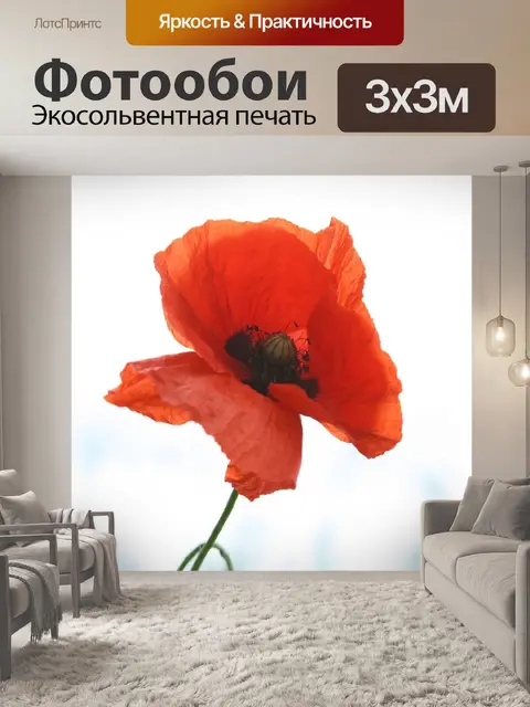 Фотообои Мак