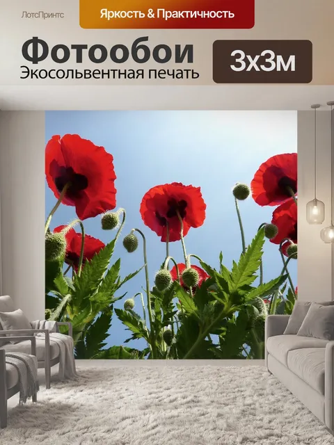 Фотообои Красные маки