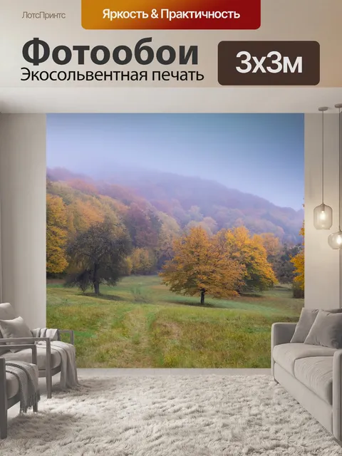 Фотообои Лес