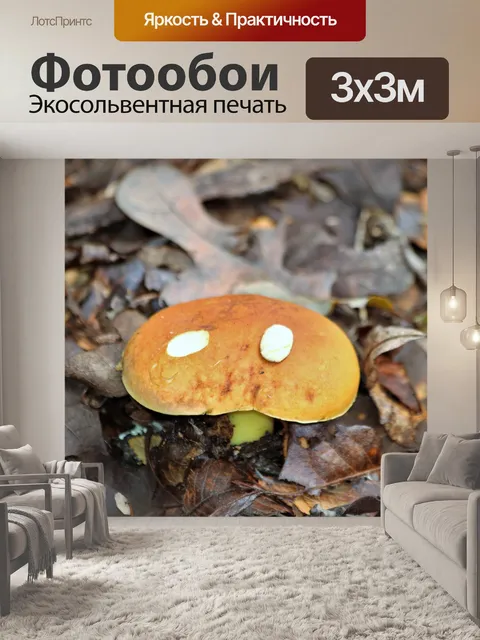 Фотообои Коричневый гриб с глазами