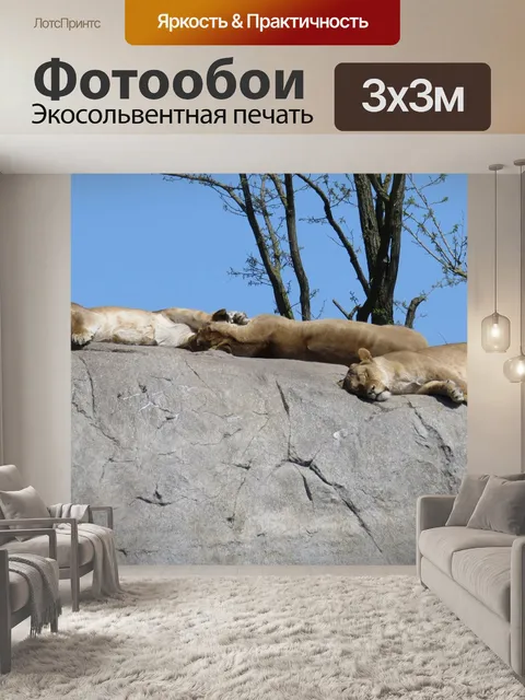 Фотообои Бездельничать