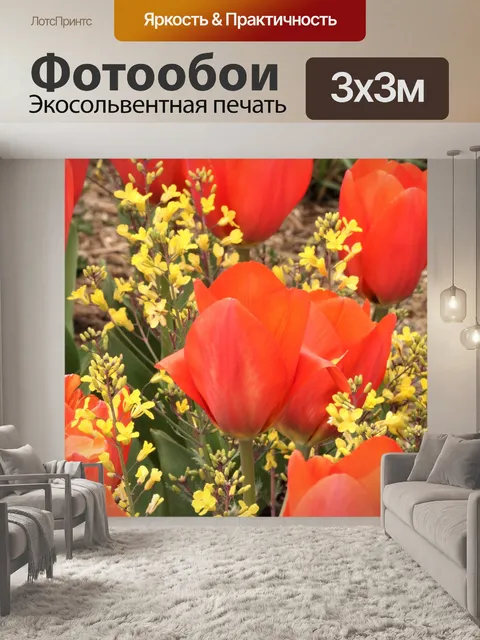 Фотообои Оранжевые тюльпаны и цветущая капуста