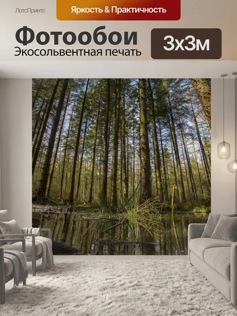 Фотообои лес