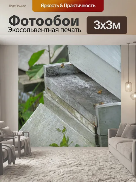 Фотообои Пчеловодство