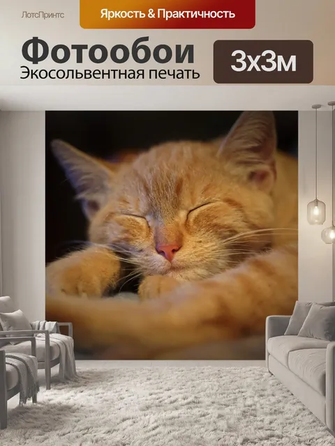 Фотообои Рыжая