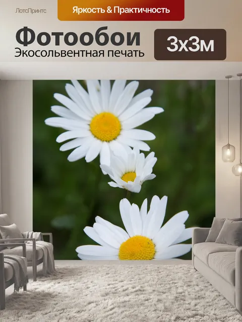 Фотообои Дейзи цветы