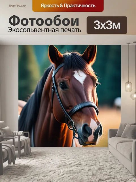 Фотообои с лошадью