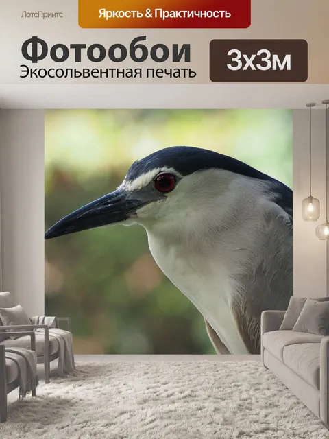 Фотообои Ночная цапля
