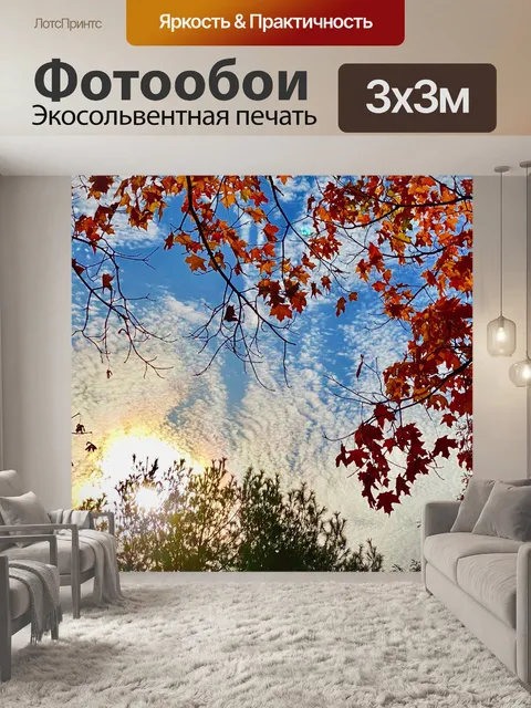 Фотообои Осеннее солнце