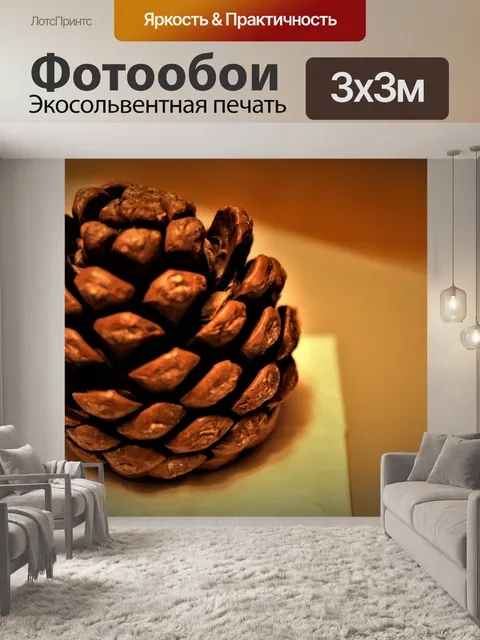 Фотообои Шишка