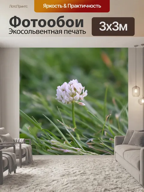 Фотообои Цветок