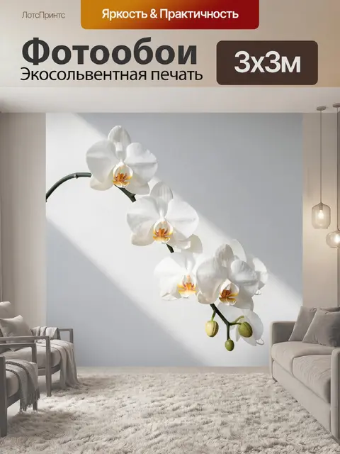 Фотообои Белые орхидеи на светлом фоне