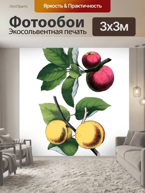 Фотообои яблоки фрукты винтажное искусство