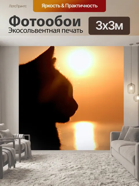 Фотообои Кот