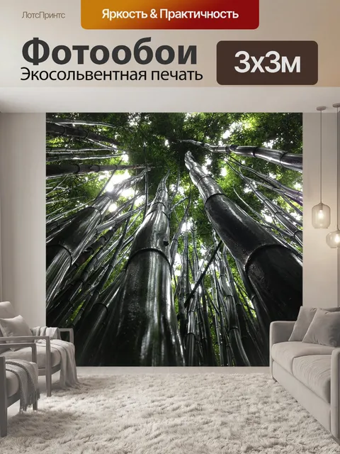 Фотообои Деревья