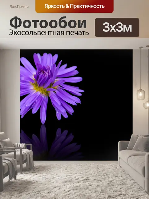 Фотообои Фиолетовый цветок, черный фон