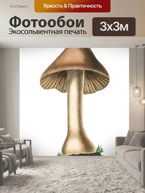 Фотообои Винтаж Клипарт Гриб Чемпион