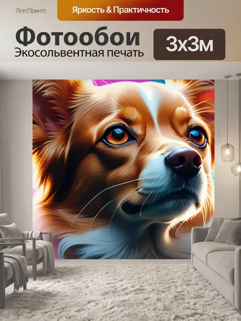 Фотообои с чихуахуа
