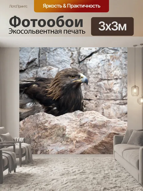 Фотообои орел
