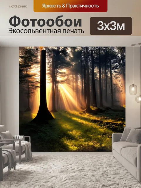 Фотообои утреннее солнце пробивается сквозь туман, окутывающий тихий лес