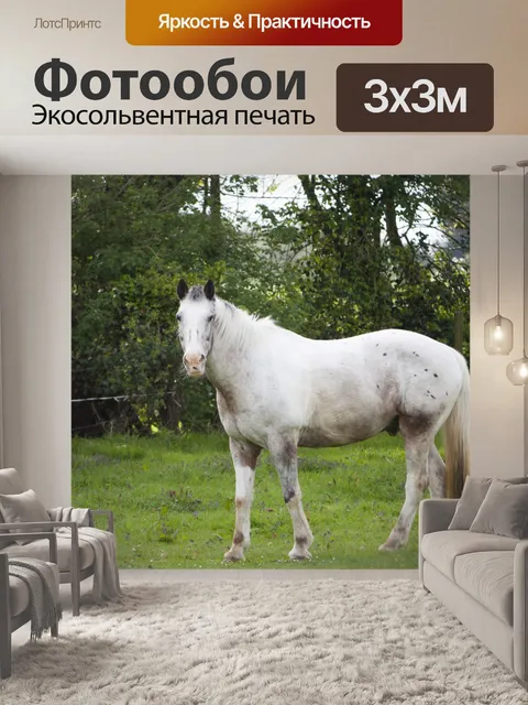 Фотообои Белая лошадь