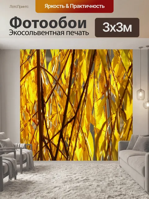 Фотообои Листья ивы