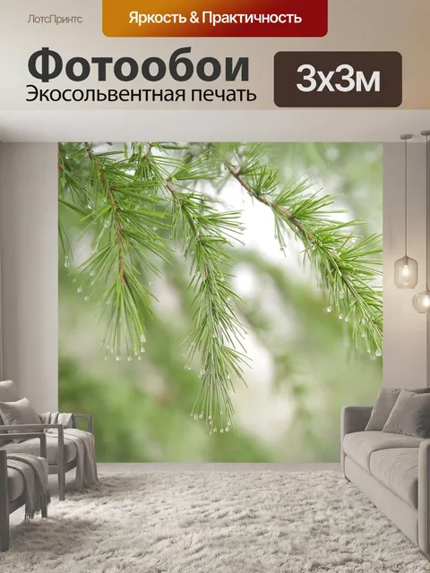 Фотообои Дерево сосны