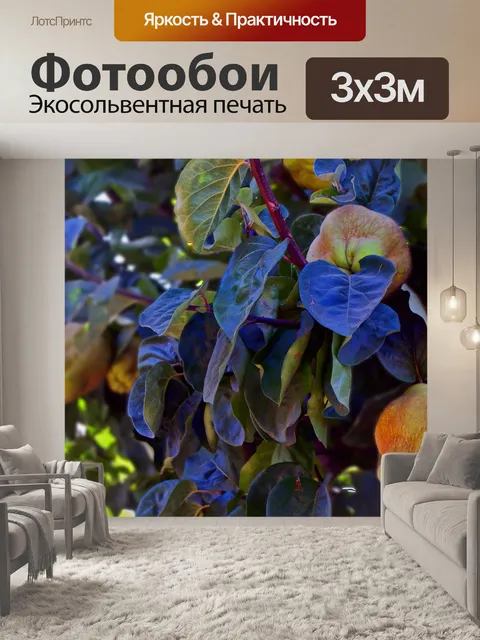 Фотообои Айва Фрукты на дереве