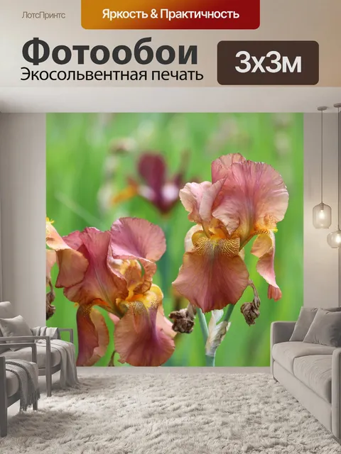 Фотообои Ирисы