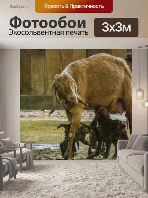 Фотообои мама с новорожденными козлятами