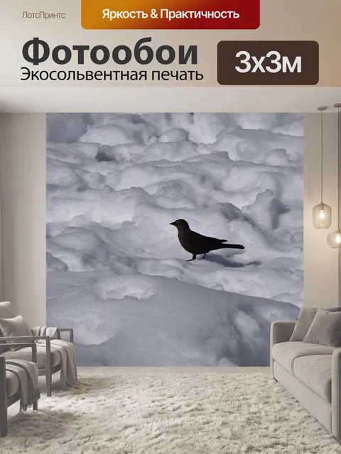 Фотообои Черная птица Белый Снег