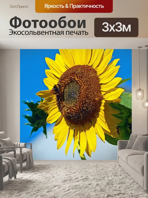 Фотообои Подсолнечник