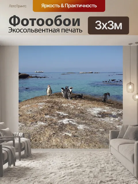 Фотообои Пингвины