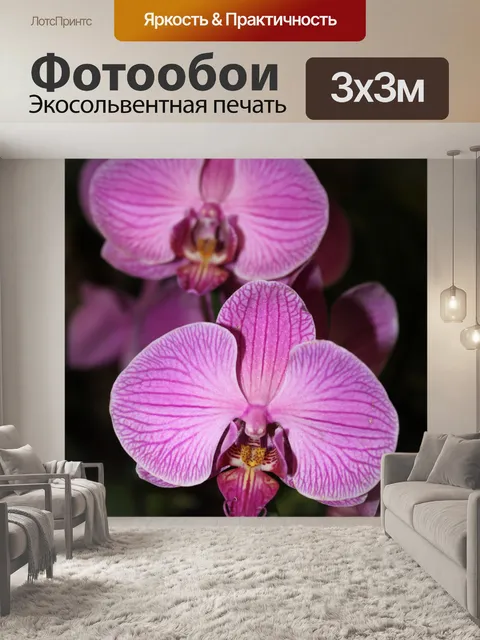 Фотообои Аэропорт Сингапура орхидеи в цвету