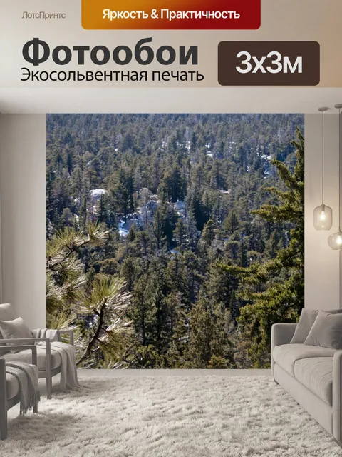 Фотообои Лес сосны