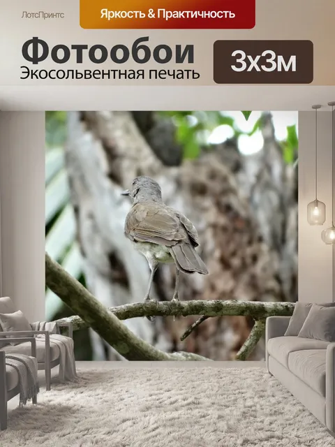 Фотообои Птица