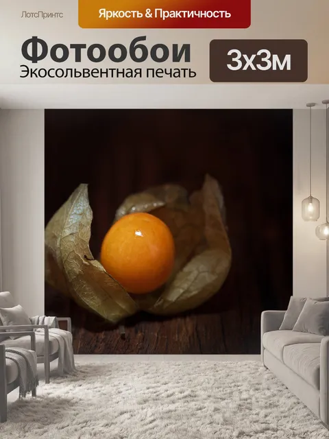 Фотообои Физалис