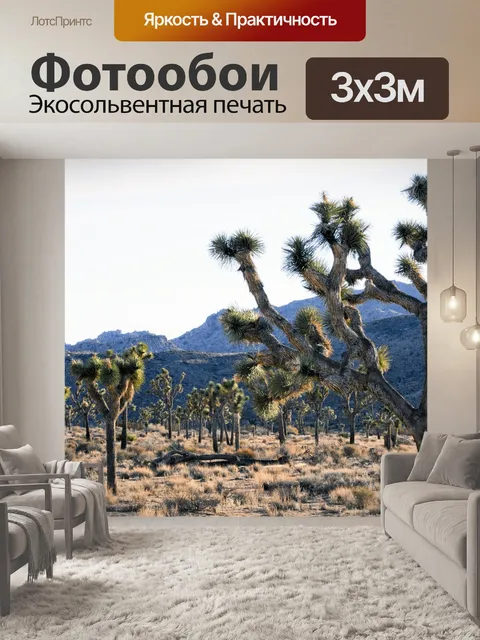 Фотообои Сот Джошуа деревьев