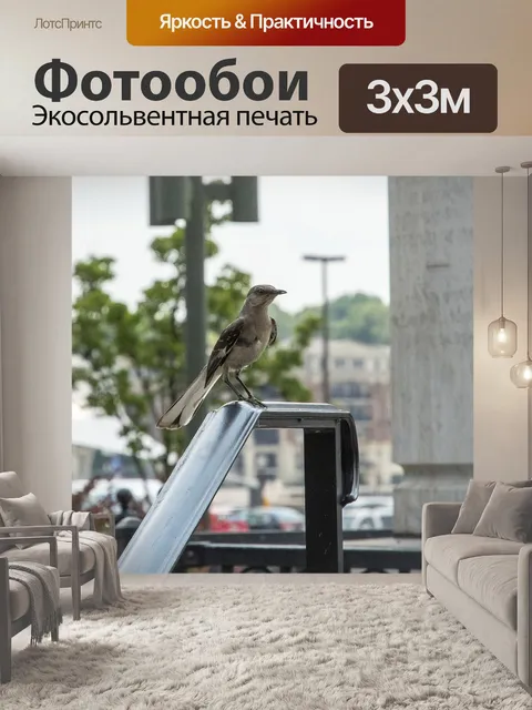 Фотообои Птица