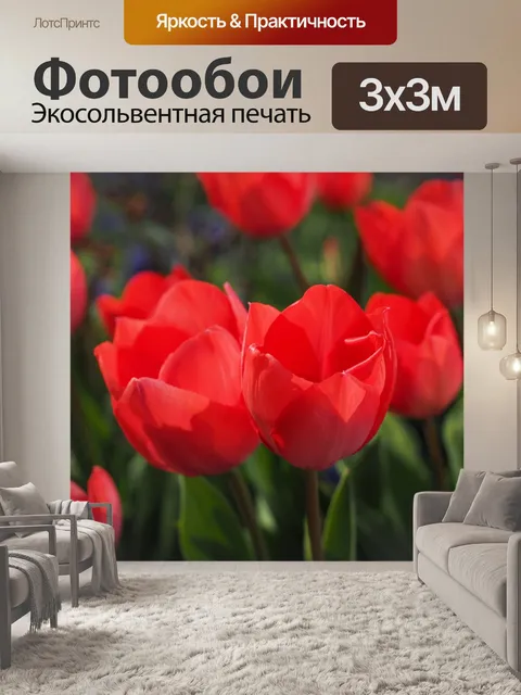Фотообои Тюльпаны