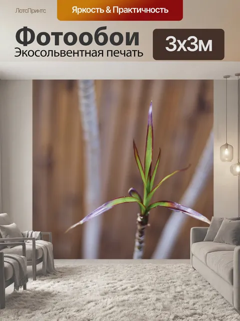 Фотообои Botanical