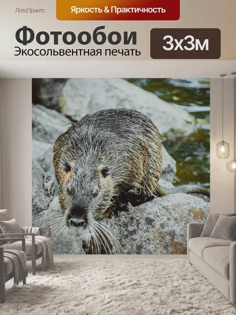 Фотообои Бобр в пейзаже 2