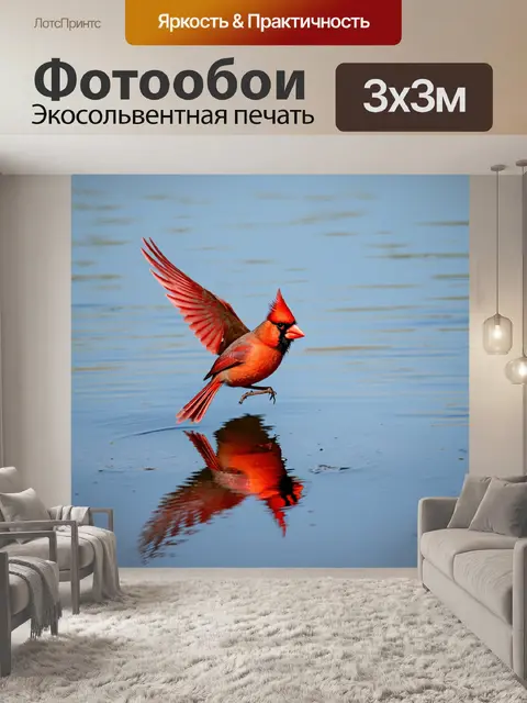 Фотообои кардинал, запечатленный в моменте полета над озером в солнечный день, с отражением птицы в воде