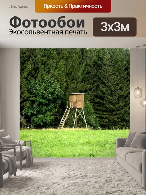 Фотообои Кафедра