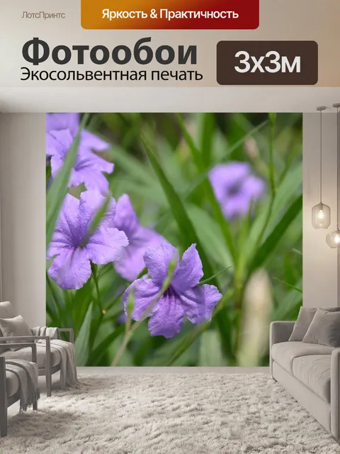 Фотообои Ирис