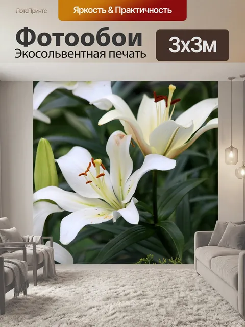 Фотообои Белые лилии