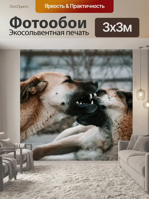 Фотообои Собака