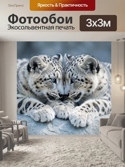 Фотообои Два снежных барса крупным планом