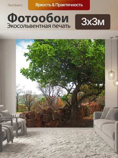 Фотообои большое дерево с зеленой круглой кроной
