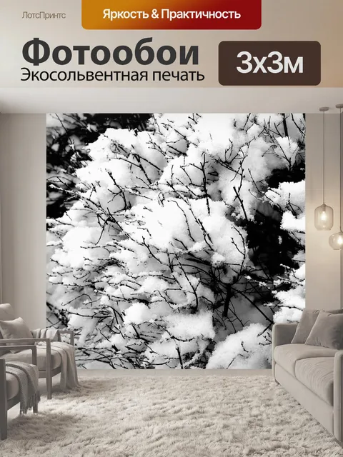 Фотообои Снег и филиалов
